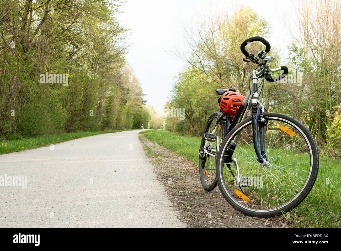 Bicicletta solitaria parcheggiata sul bordo di un sentiero boschivo asfaltato Foto Stock