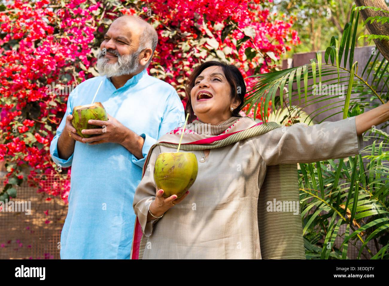 Coppia senior indiana che ha acqua fresca di cocco insieme nella natura seduto nel giardino di casa, bevendo con paglia di verde nariyal e godendo della pace Foto Stock