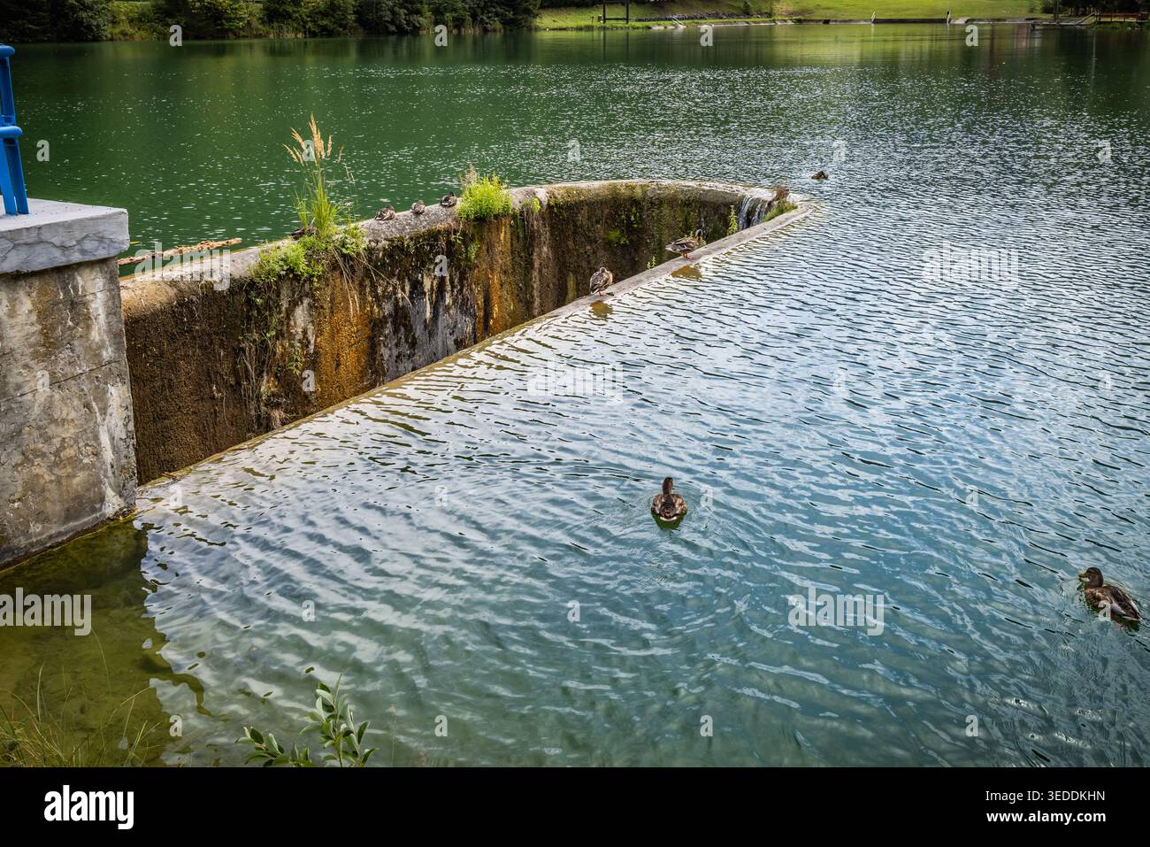Semplice fuoriuscita su un lago contro il traboccamento d'acqua, struttura di rilievo alluvione Foto Stock