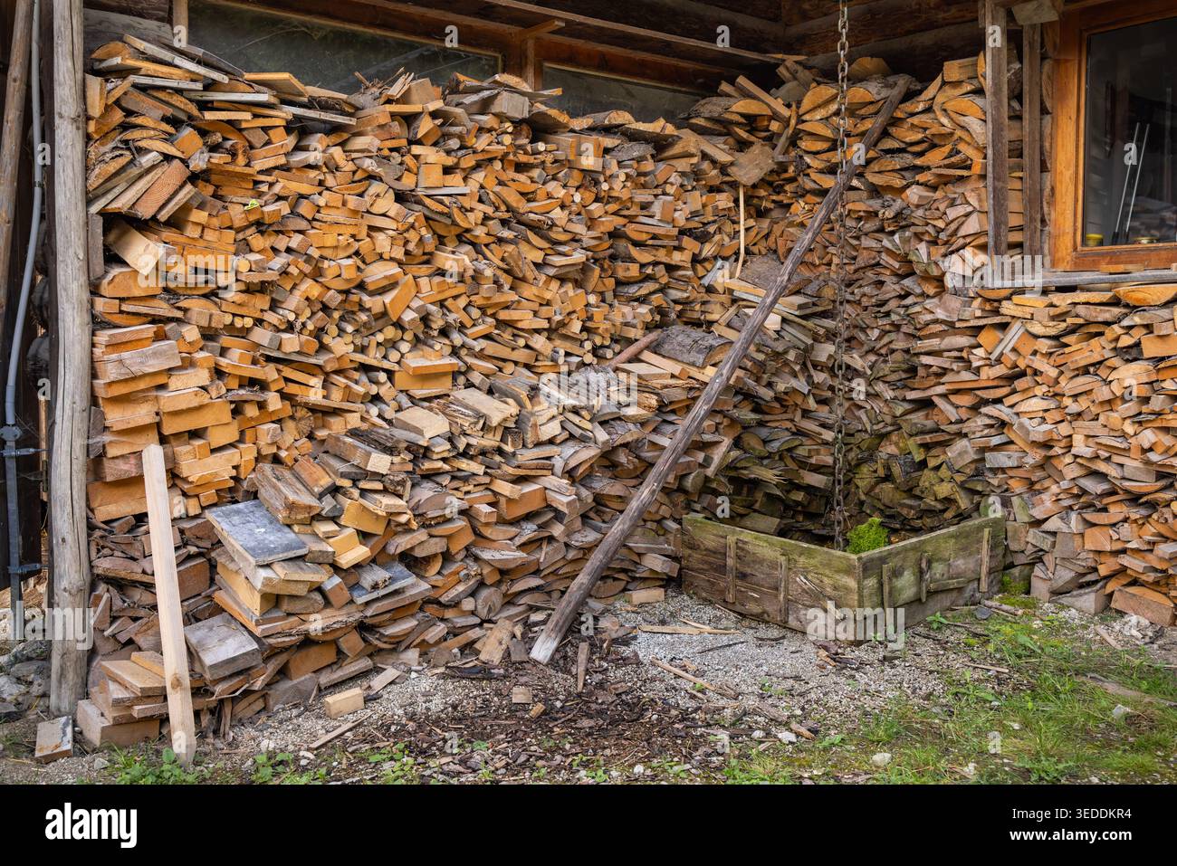 Una pila di legna di betulla impilata ordinatamente fuori dall'edificio, legna da ardere Foto Stock