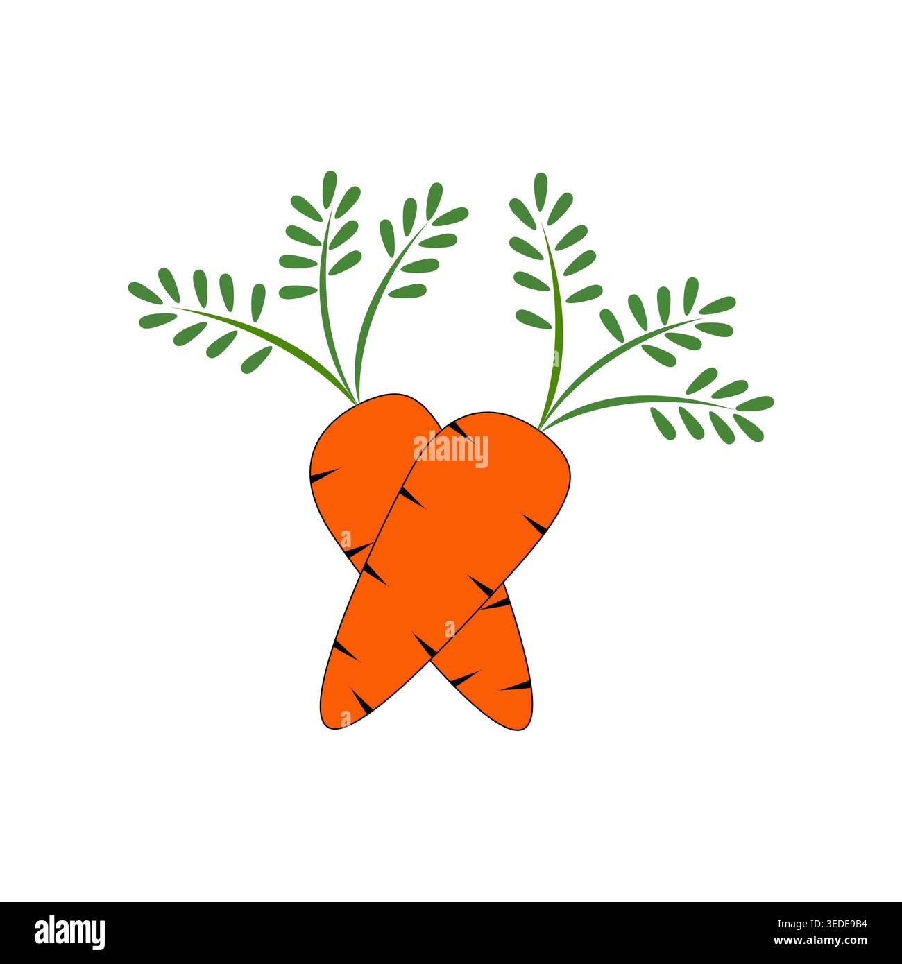 Illustrazione del vettore del mazzo di carote, verdure agricole biologiche isolate su bianco Illustrazione Vettoriale