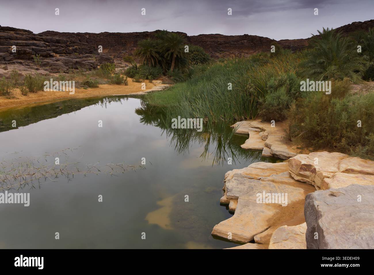 Splendida oasi con un piccolo lago, la Mauritania Foto Stock