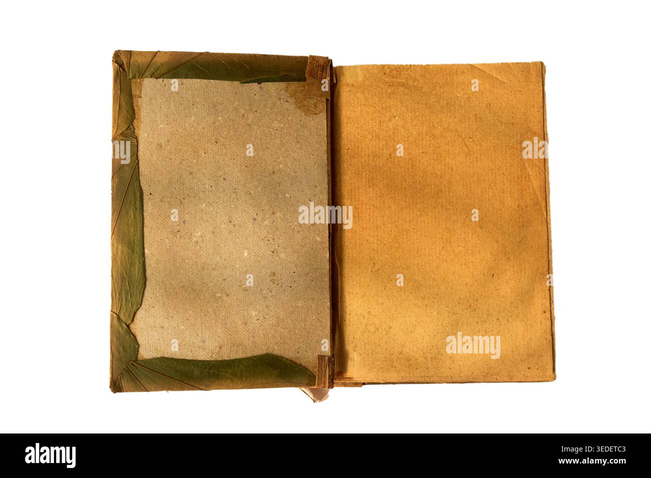 Libro vintage aperto con copertina interna e bordo esposto, cerniera in tessuto visibile su sfondo bianco neutro, ideale per la conservazione, lo studio di archiviazione, Foto Stock