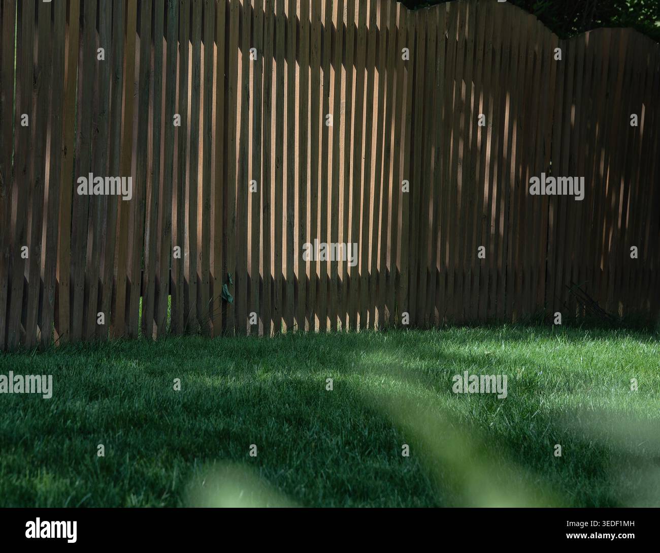 Un recinto per picchetti sul retro alla luce del sole nel tardo pomeriggio Foto Stock