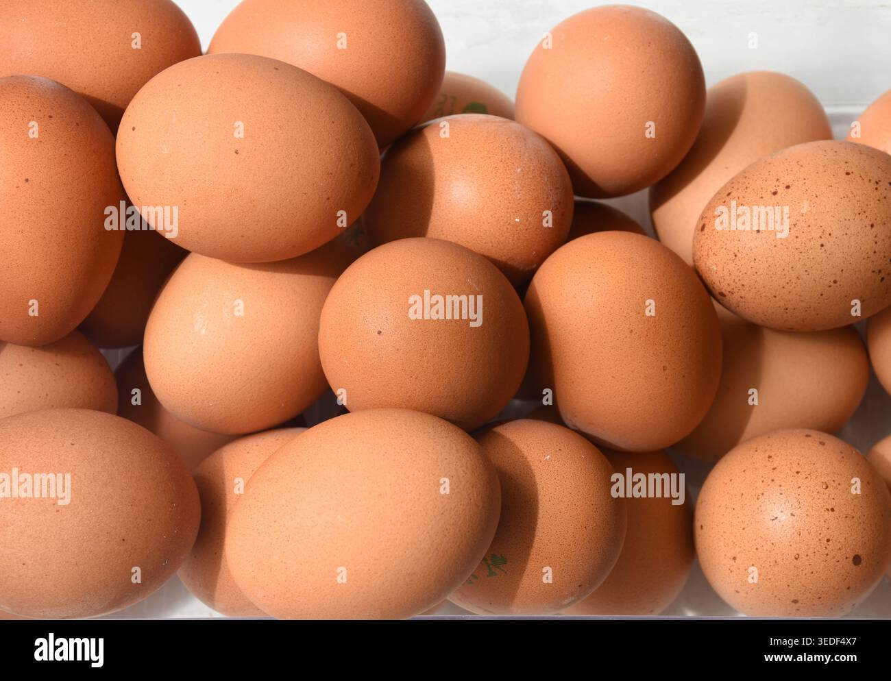 Uova fresche su uno sfondo pulito, uova di fattoria biologiche, cibo sano ricco di proteine, ingrediente naturale per la colazione, fotografia minimalista del cibo, nutriente Foto Stock