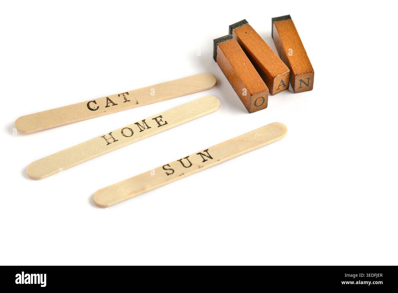Parole CAT, HOME, SUN on Wooden sticks with stamp on white background. Imparare i giocattoli Foto Stock