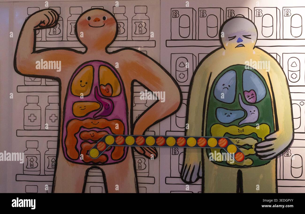 Illustrazione colorata del sistema digerente in stile cartoni animati moderno Foto Stock