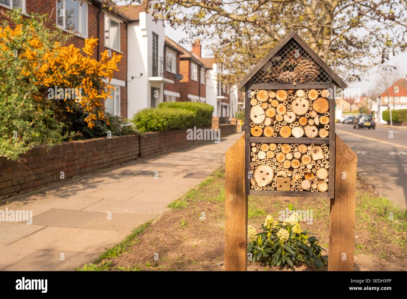 LONDRA - 23 MARZO 2026: RAYNES PARK SW20 - Insect hotel bug House pollinator habitat Residential Street Foto Stock