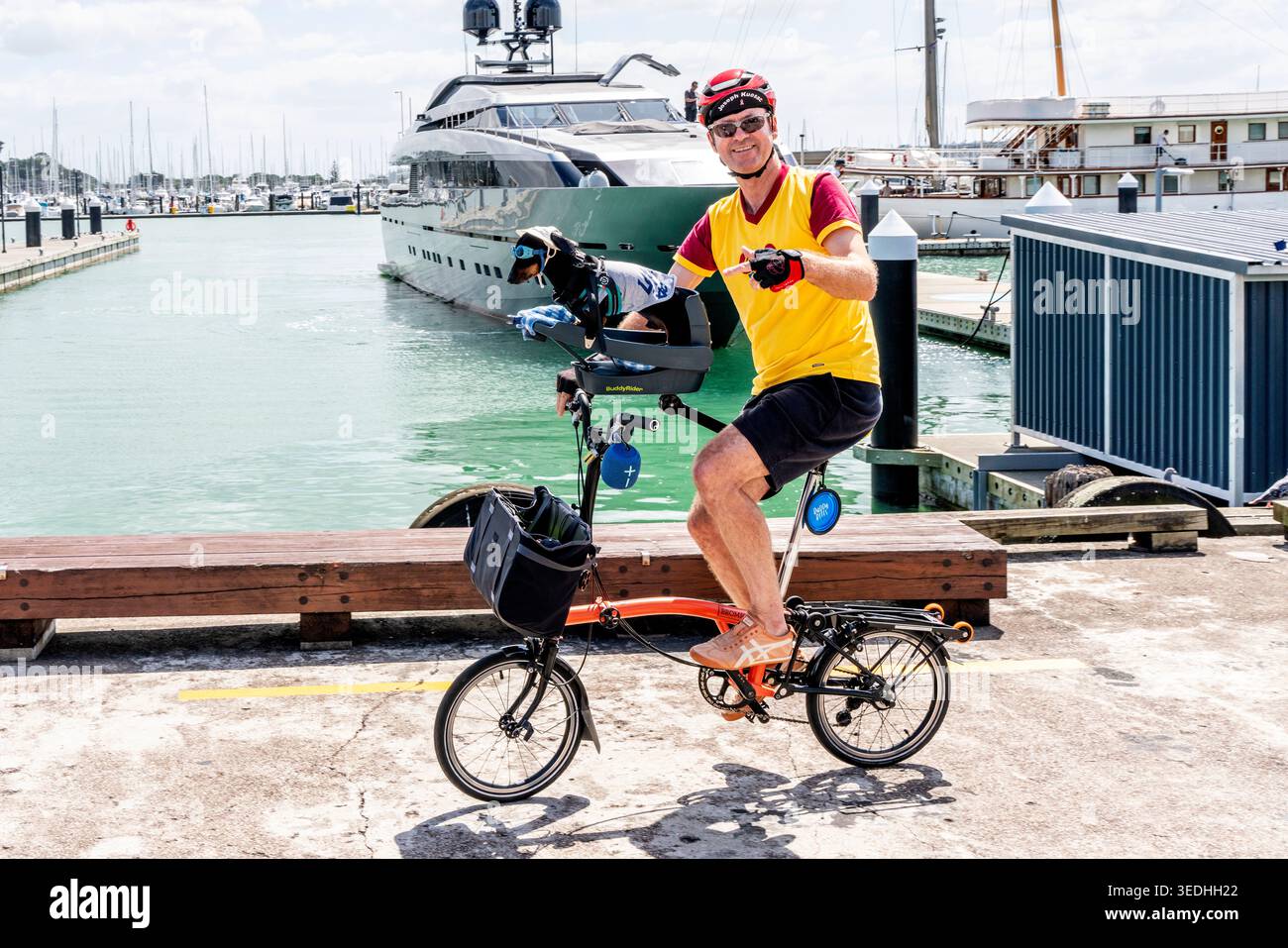 A Man Out Cycling with HIS PET Dog lungo il lungomare di Auckland, Auckland, nuova Zelanda. Foto Stock