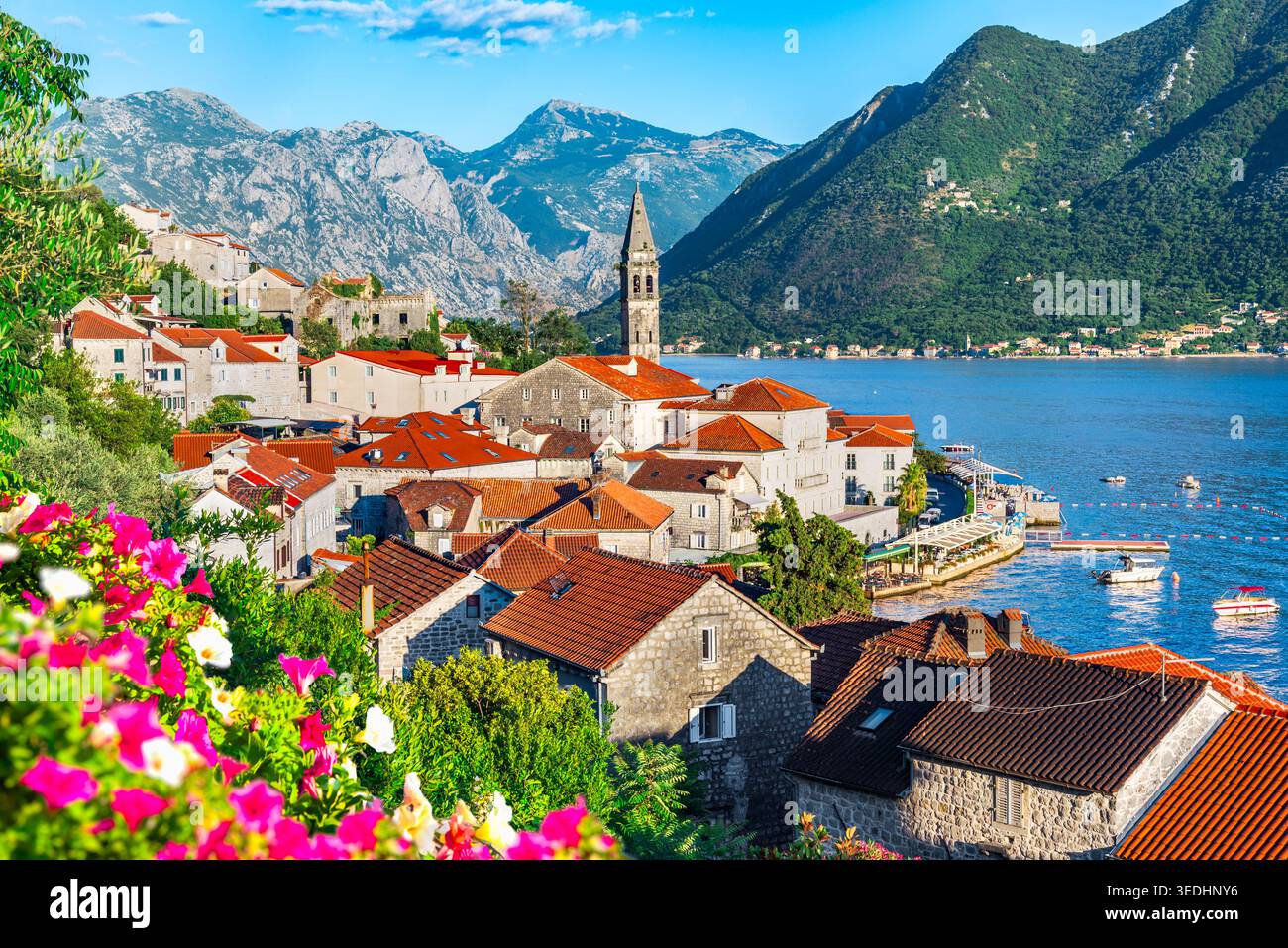 Perast, Montenegro. Città collinare che mette in risalto l'alta torre della chiesa lungo la baia di Cattaro Foto Stock