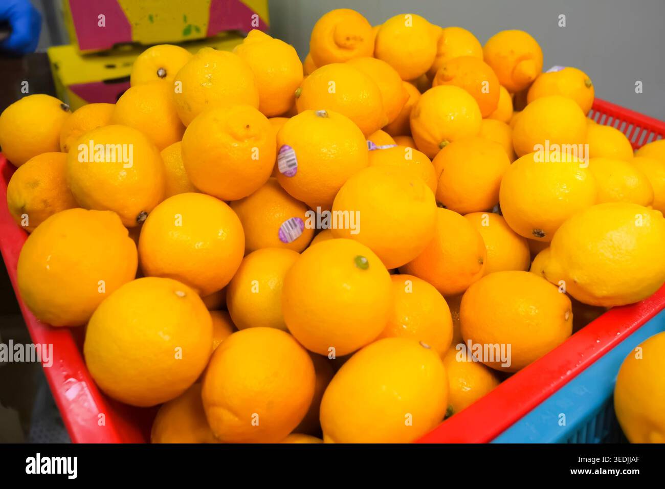 una scatola completa di arance pronte per essere tagliate a fette Foto Stock