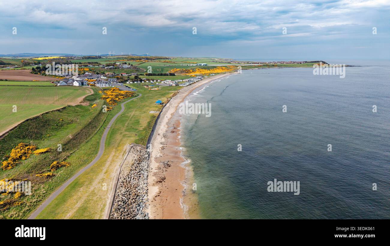 Inverboyndie Beach o Boyndie Beach e Bay Banff Scotland Gorse gialle in primavera Foto Stock