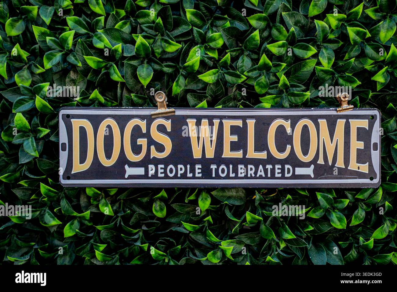 Cani ammessi cartello fuori da un ristorante Foto Stock