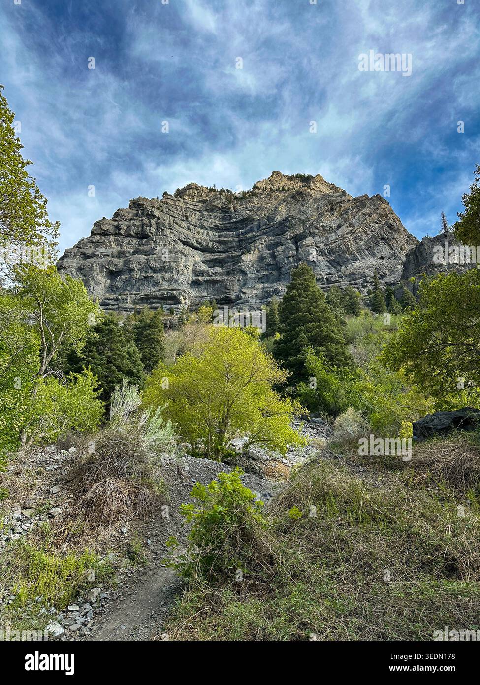 Sentieri di montagna e per escursioni a Bridal Veil Park, Provo, Utah, Stati Uniti - Immagine stock catturata con smartphone