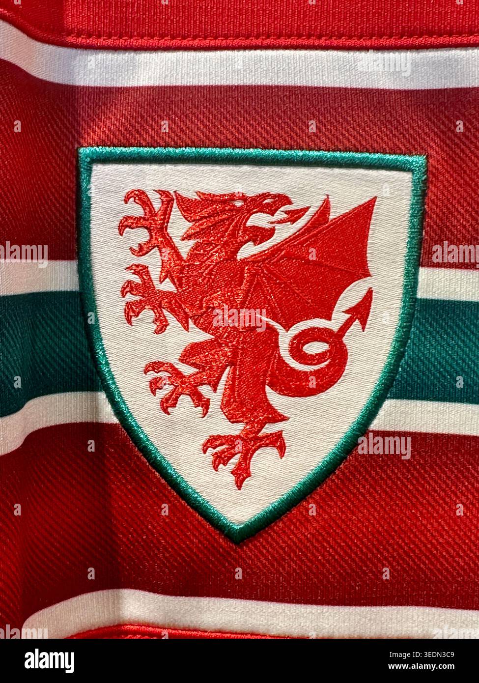 Badge Welsh Dragon sulla maglia da calcio del Galles Foto Stock