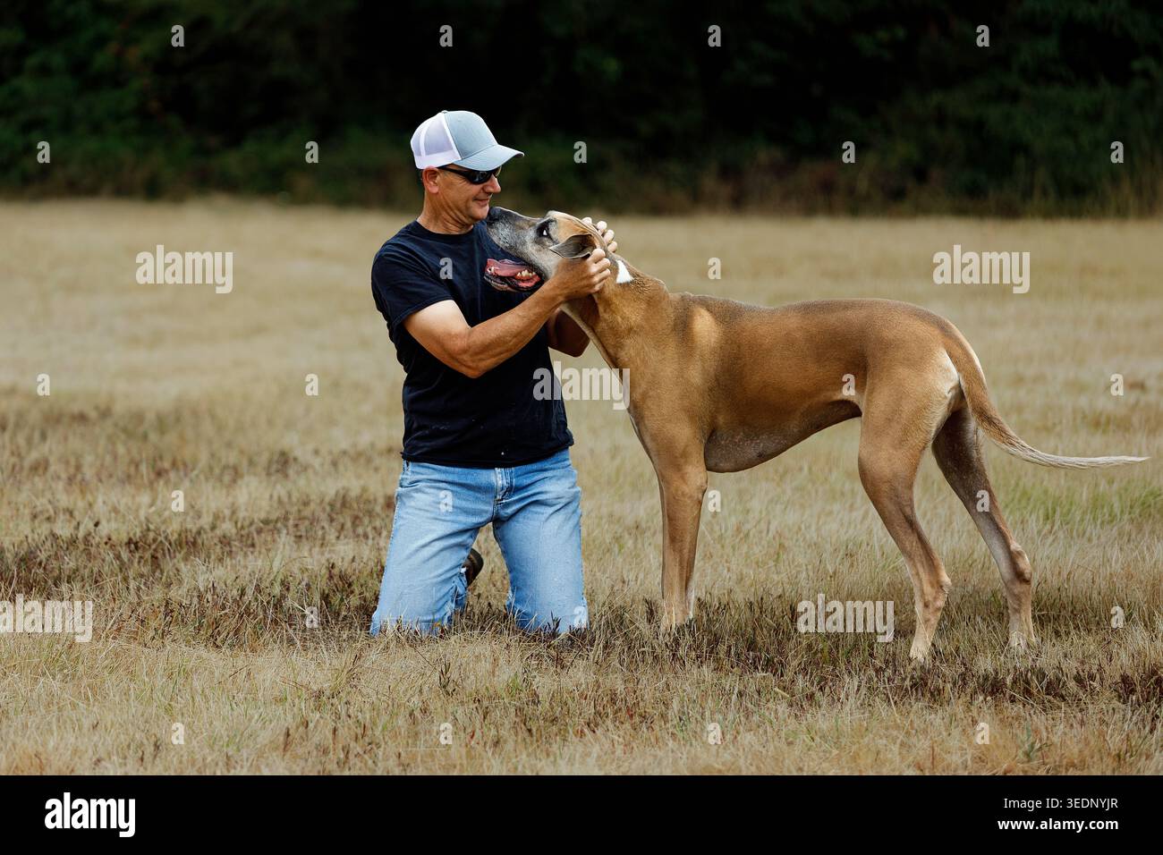 L'uomo e il suo cane camminano al parco per cani Foto Stock