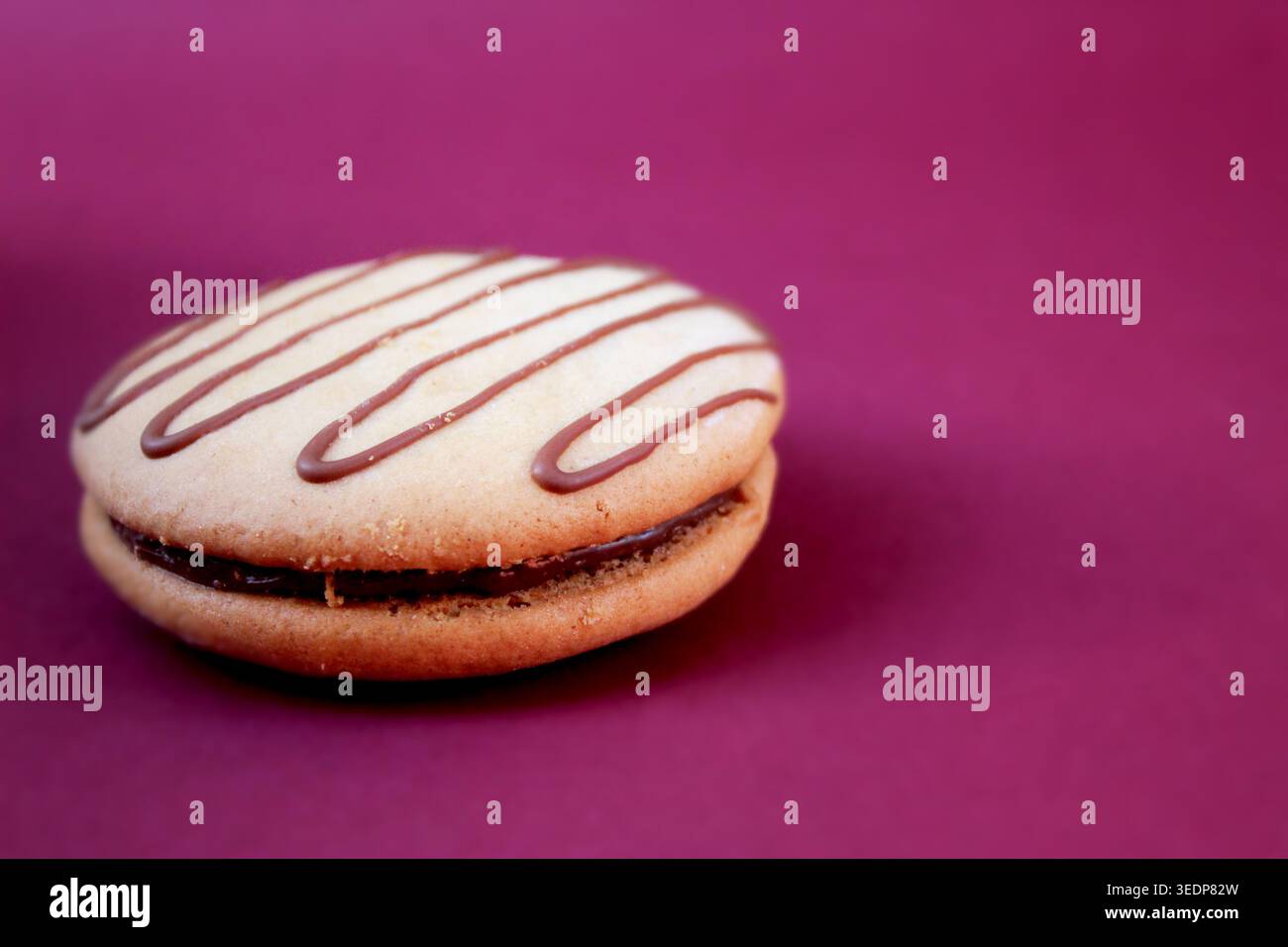 Pane dolce mennonita (biscotto con ripieno) di colore bordeaux su sfondo infinito. Pan dulce menonita (galleta) en fondo infinito color vino Foto Stock