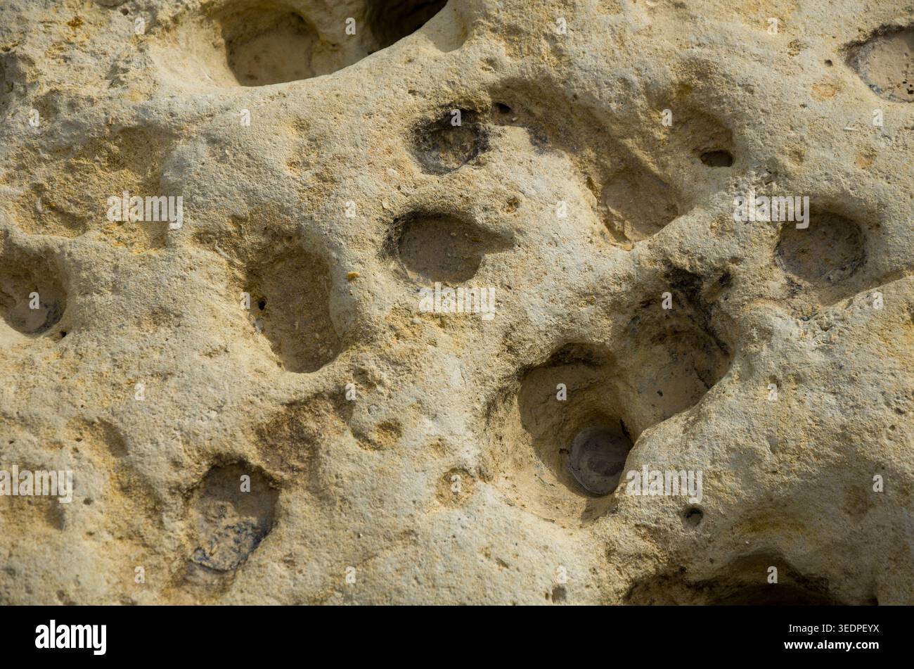 Superficie rocciosa erosa naturale con piccoli fori Foto Stock