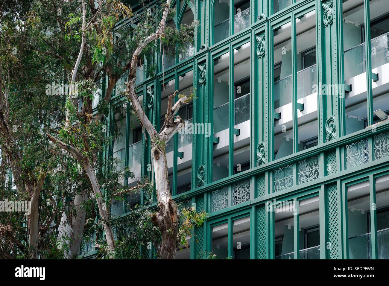 Primo piano di un edificio moderno con telai in acciaio verde e balconi in vetro vicino ad un albero Foto Stock