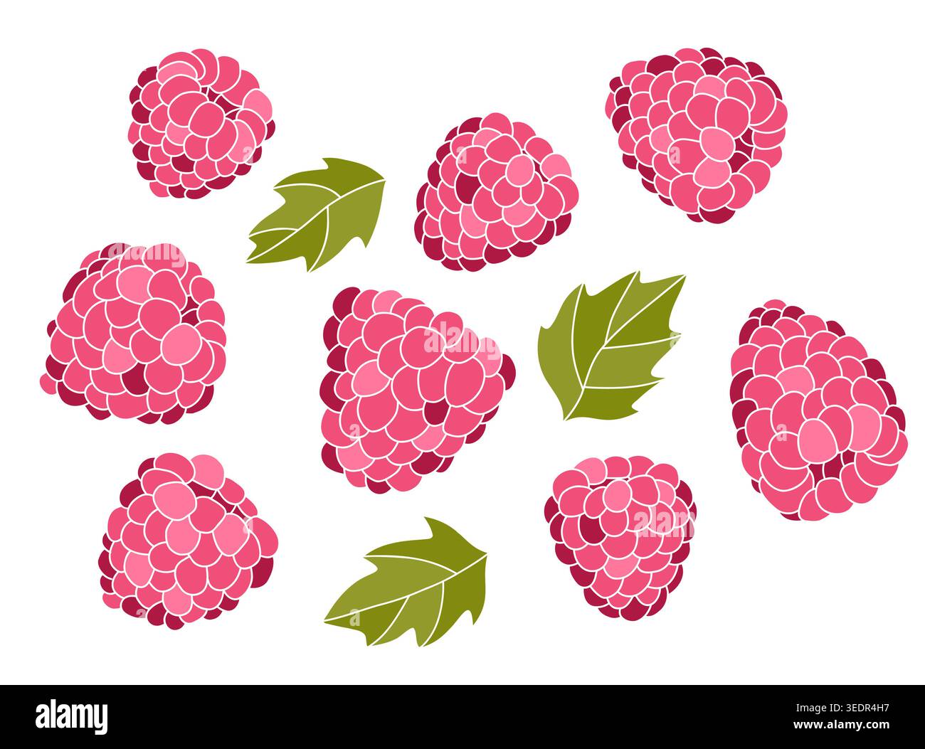 Lamponi rosa freschi con set vettoriale foglie verdi Illustrazione Vettoriale