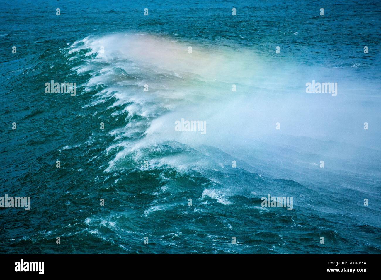Big Waves, Sudafrica Foto Stock