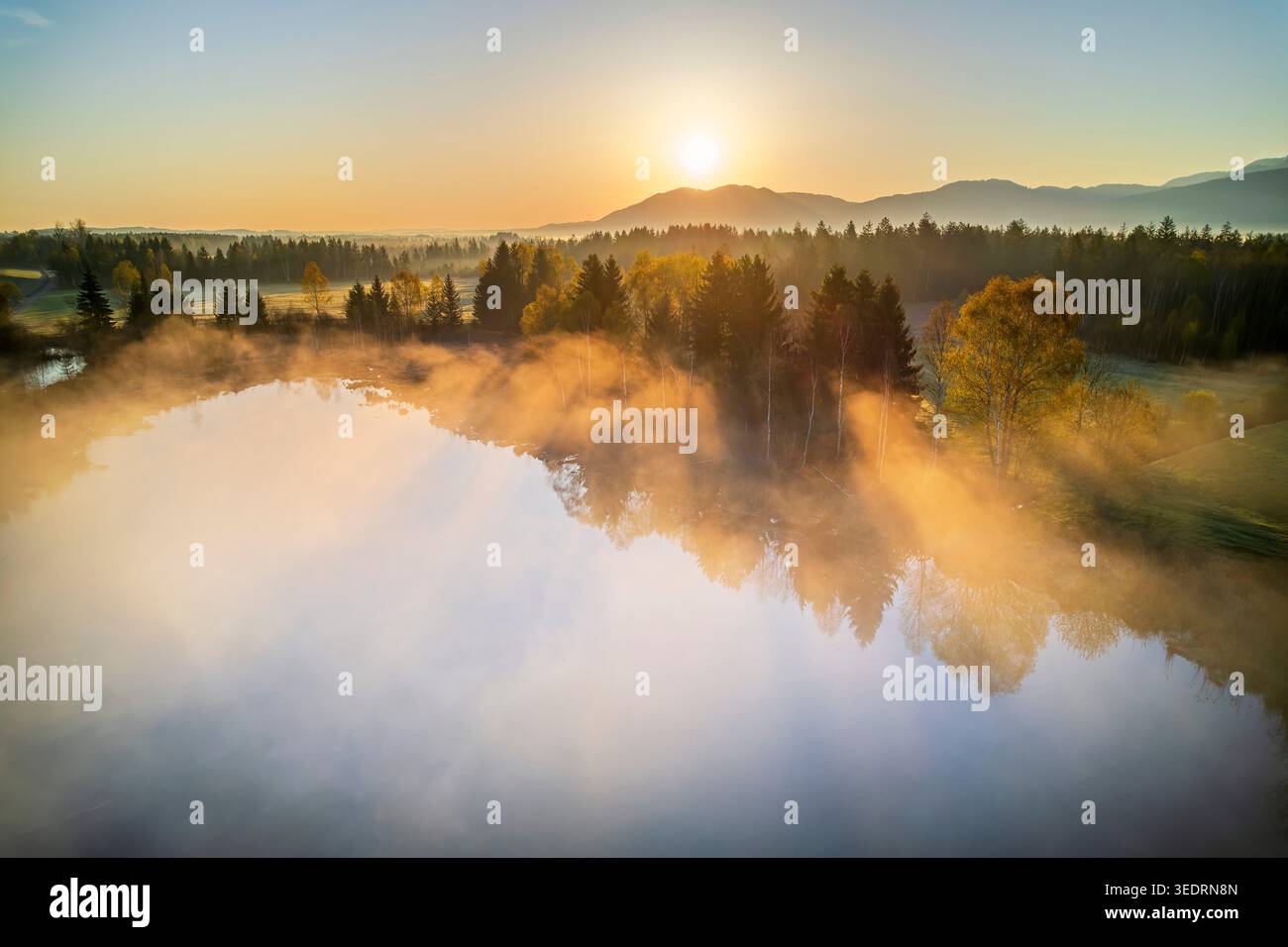 Haselsee con nebbia mattutina all'alba, Loisach-Kochelsee-Moor, alta Baviera, Baviera, Germania, Europa Foto Stock