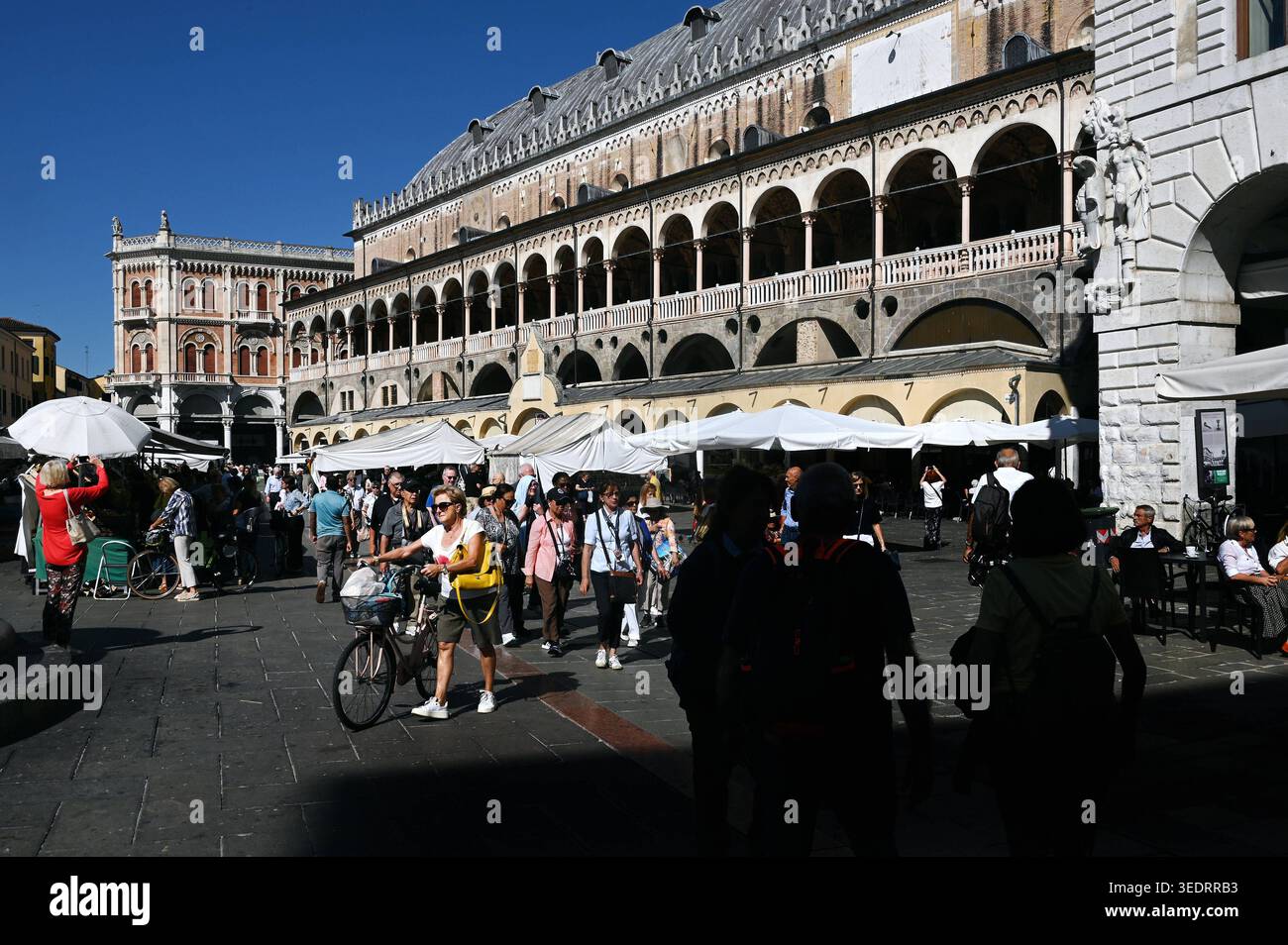 Markt a Padova, Venezia, Italia *** mercato a Padova, Veneto, Italia Foto Stock