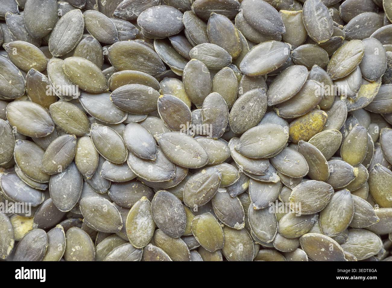Foto dei semi di zucca, sfondo naturale. Foto Stock