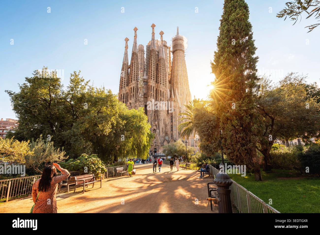 Vista della basilica della Sagrada Família da un parco di Barcellona con lunghe ombre dal sole basso. [M] Foto Stock