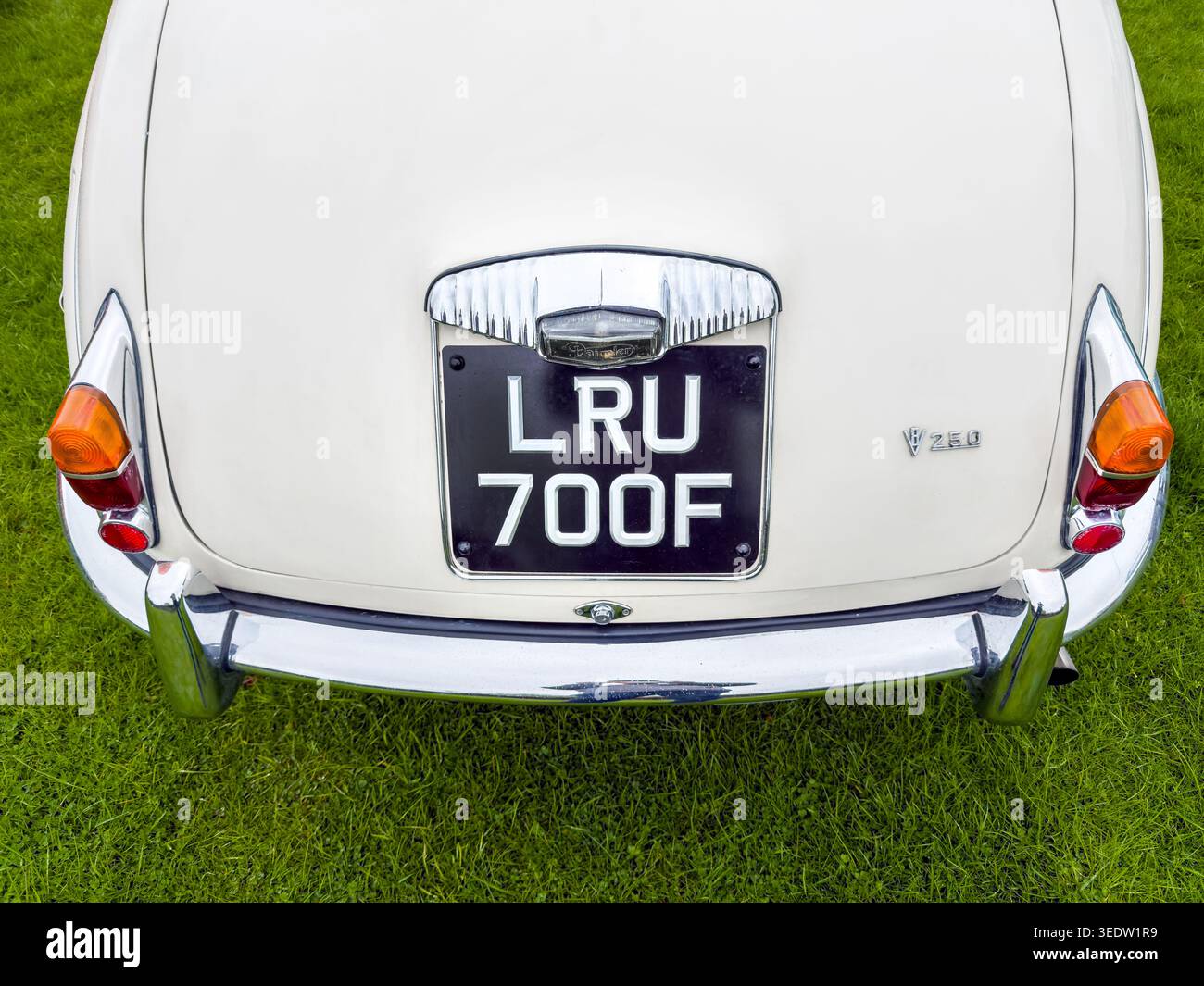 Vista posteriore di una Daimler V8 2,5 bianca d'epoca parcheggiata su erba verde che mostra il paraurti cromato e la classica targa inglese - Immagine stock catturata con smartphone