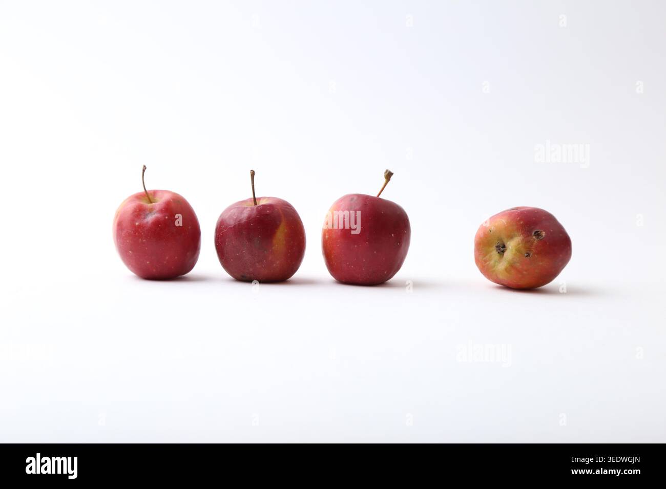 Una collezione minimalista di ricette che utilizzano mini mele, tra cui gelato con cima alla mela, piccole mele rosse fresche, sciroppo di mele e speziato Foto Stock