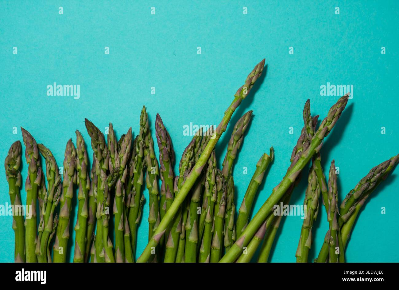 Lance di asparagi verdi grezze primo piano sano fondo vegetale Foto Stock