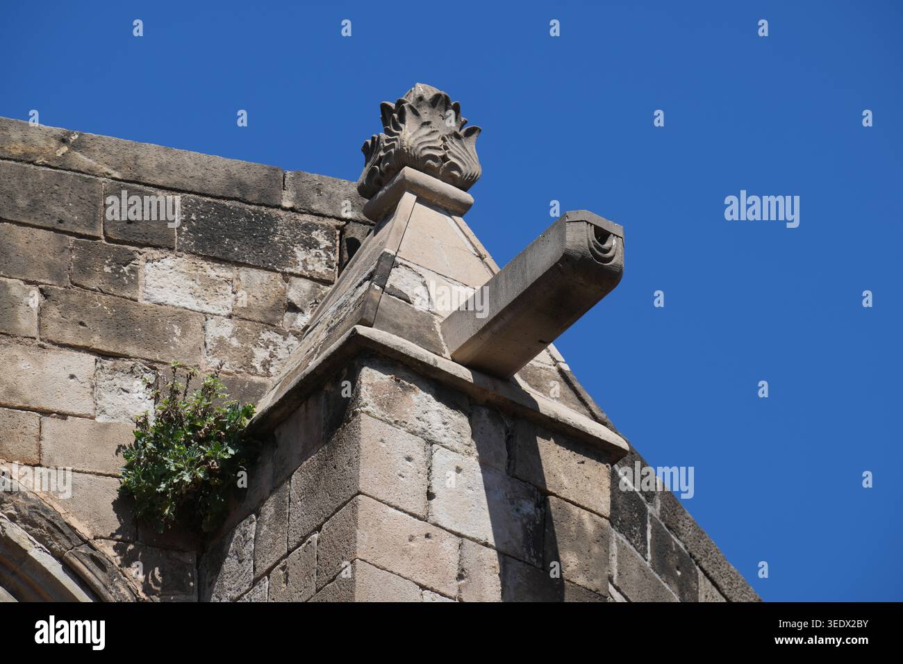 Spioncino sulla Cattedrale di Barcellona (Cattedrale di Santa Croce e Sant'Eulalia), situato nel cuore del quartiere Gotico di Barcellona. Foto Stock
