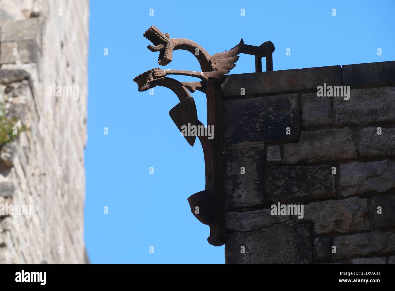 Serpente in ferro battuto gargoyle o beccuccio d'acqua, un dettaglio architettonico comune negli edifici gotici e Art Nouveau di Barcellona Foto Stock
