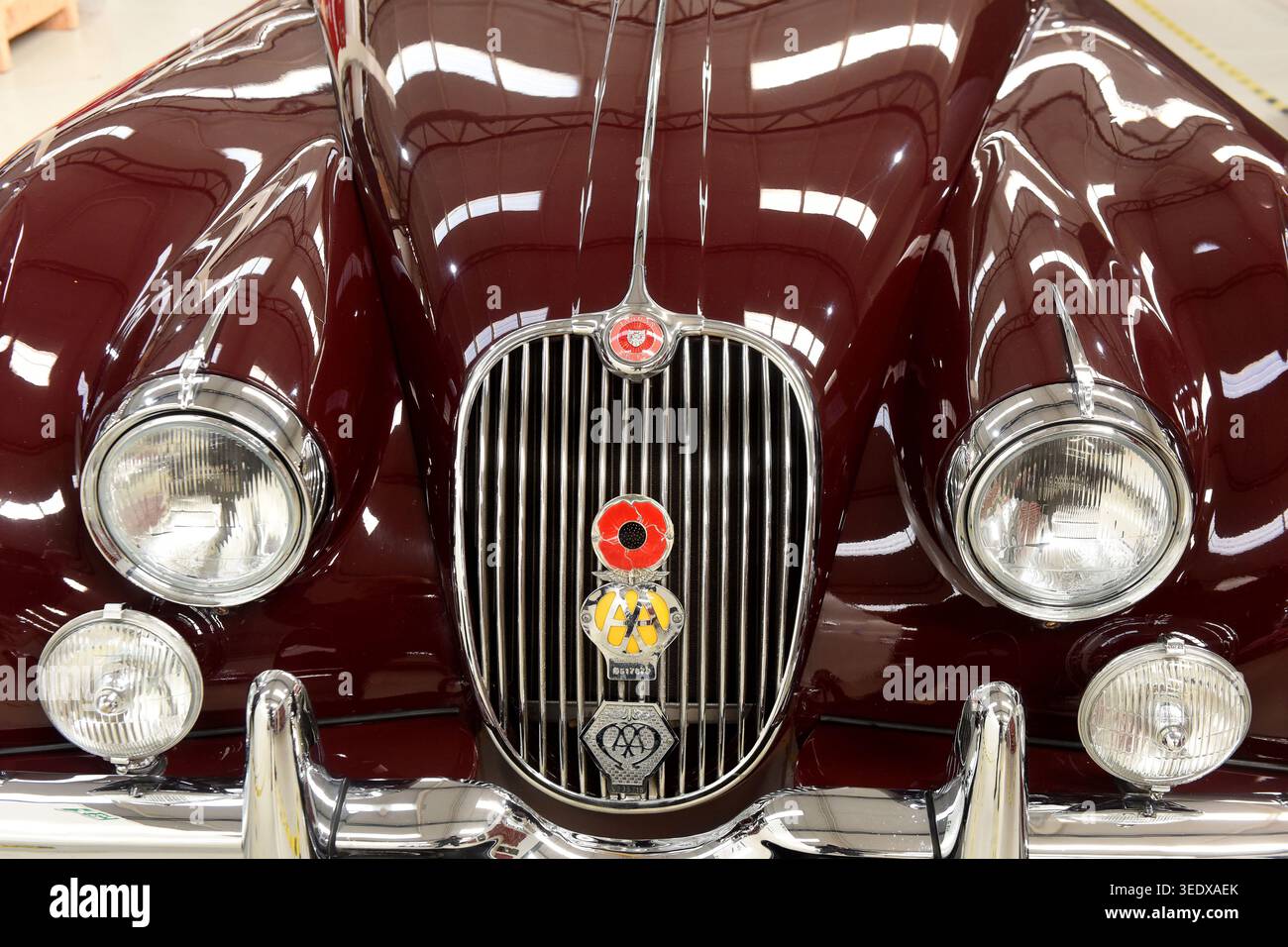 Auto sportiva Jaguar XK 150 con fari Lucas e badge AA Foto Stock