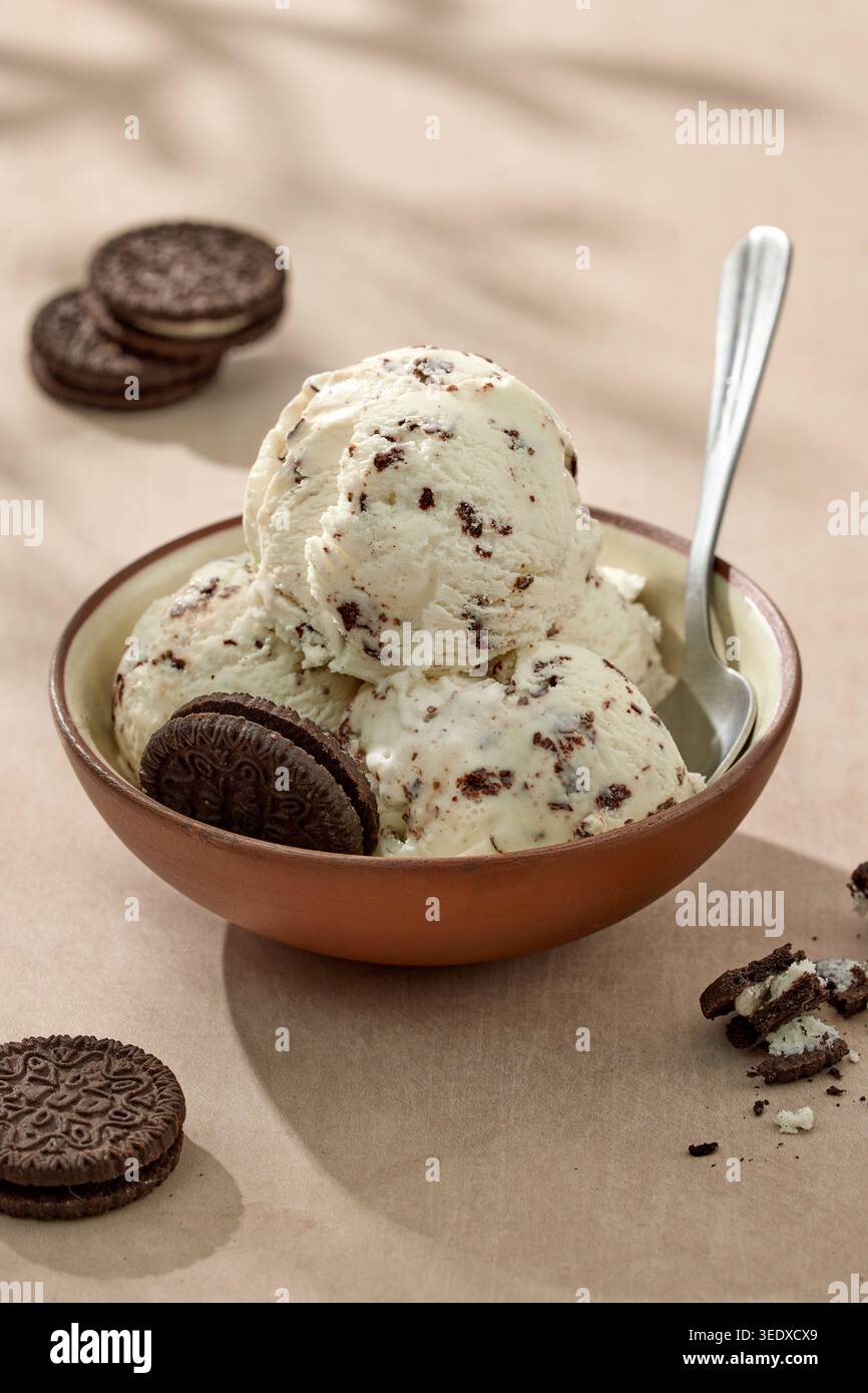 Gelato cremoso alla stracciatella servito in una ciotola con biscotti al cioccolato su un tavolo illuminato dal sole. Dessert gelato all'italiana con pezzi di cioccolato, fotogra Foto Stock