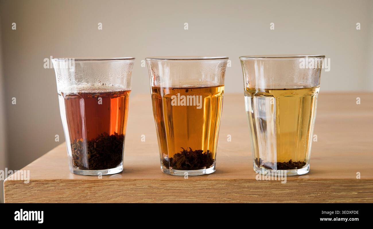 Tre bicchieri con diverse quantità di foglie di tè sciolte, per una forza leggera, media e forte. Foto Stock