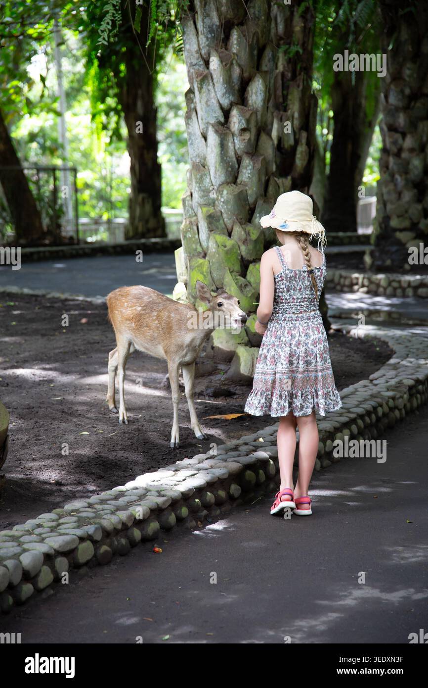 Bambini che danno da mangiare ai cervi allo zoo, interazione tra esseri umani e animali, attività familiari Foto Stock