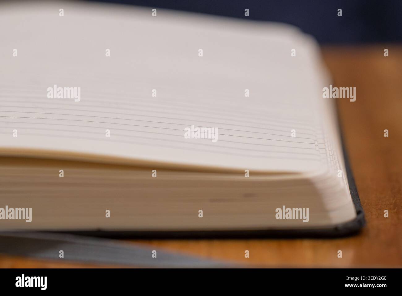 Primo piano, foto della profondità di campo ridotta della pagina vuota del notebook Foto Stock