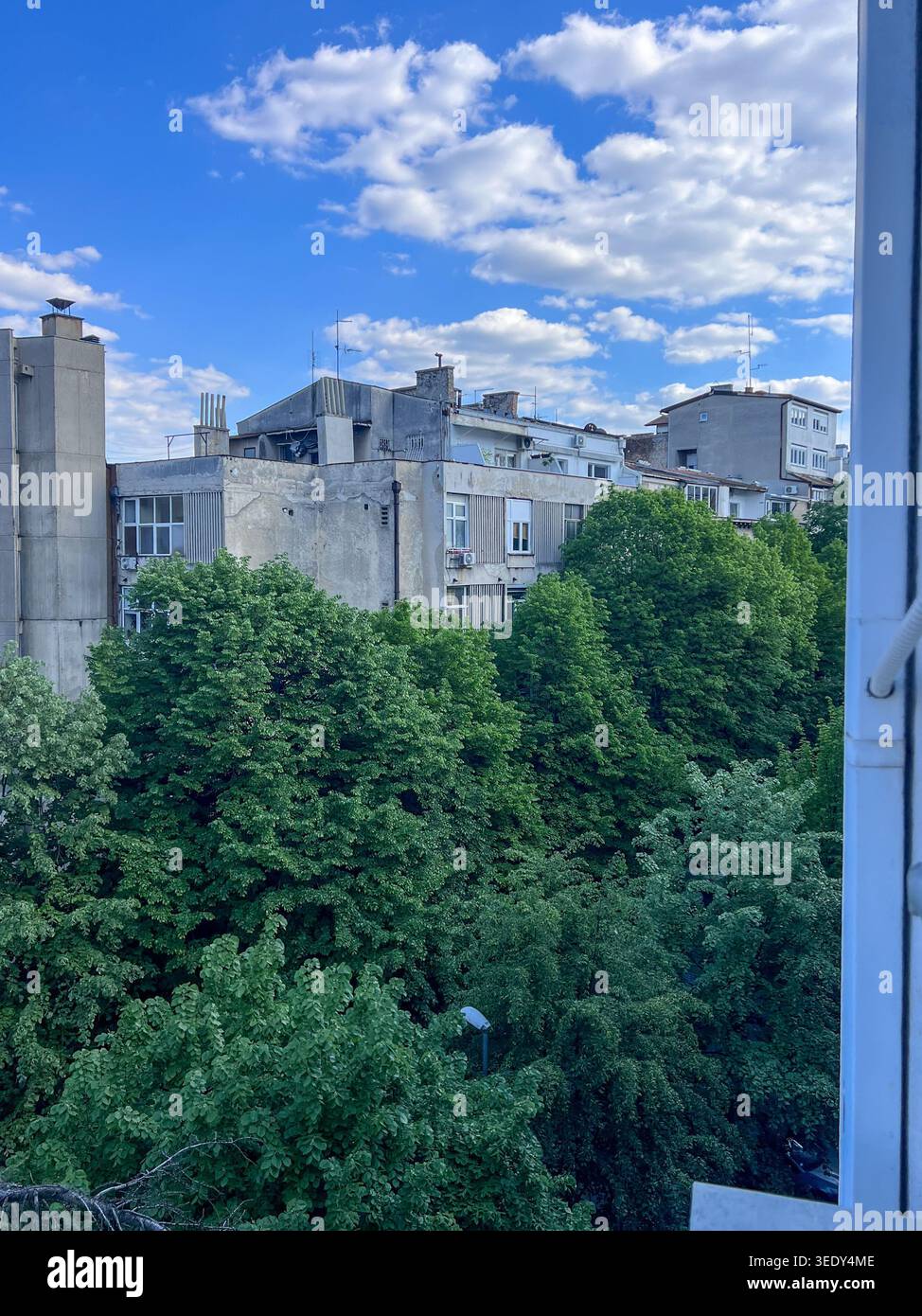 Edifici residenziali e fitti alberi verdi sotto un cielo blu luminoso con morbide nuvole in un quartiere urbano. - Immagine stock catturata con smartphone