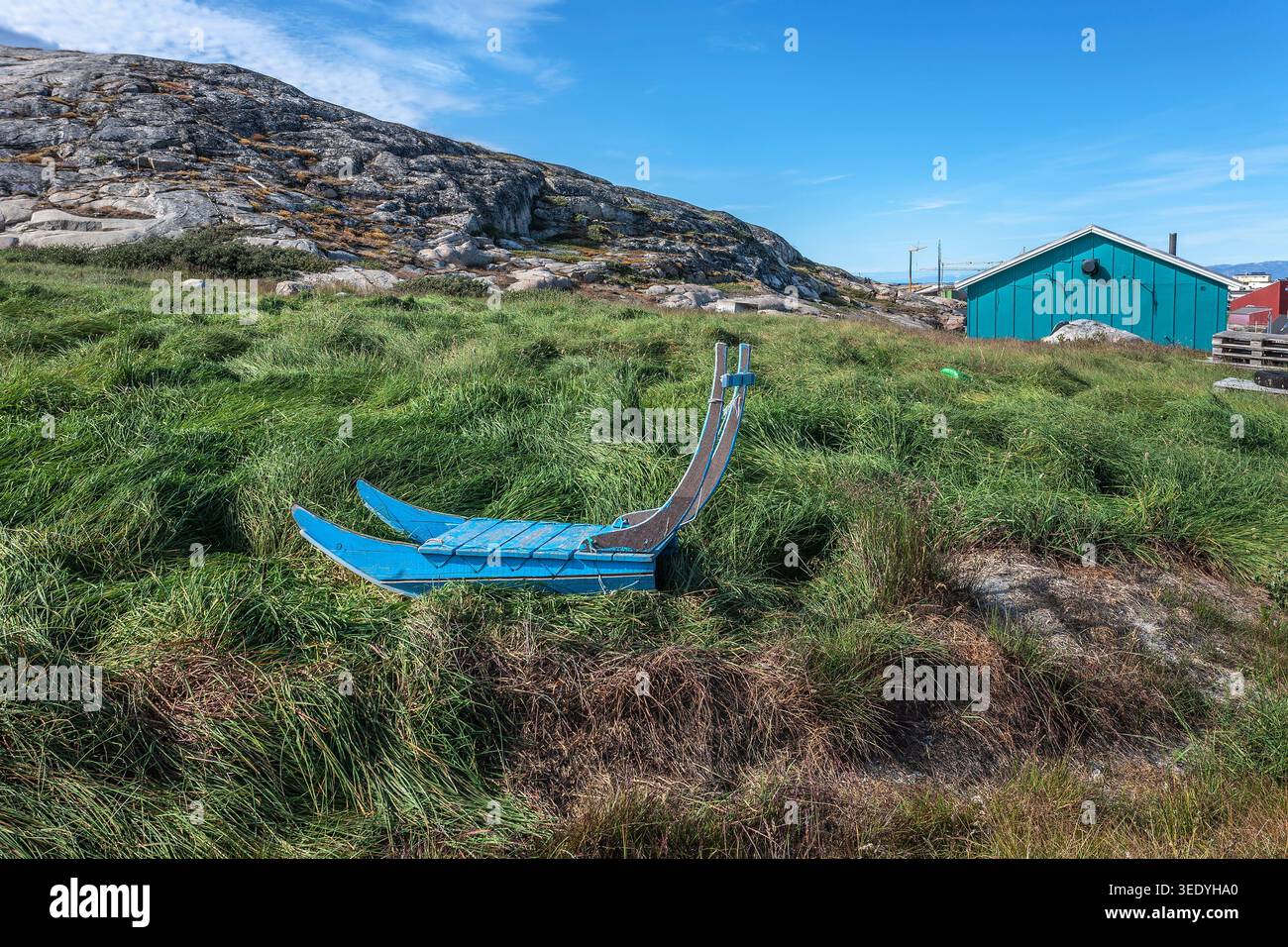 Un tradizionale slittino per cani in legno blu riposa inutilizzato nell'erba alta estiva vicino a una collina rocciosa e a una casa turchese in un insediamento della Groenlandia Foto Stock
