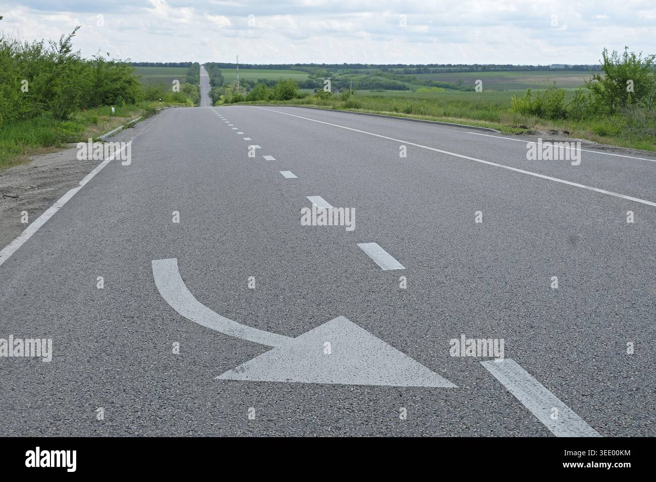 La E50 vicino a Oleksandriya, Oblast' di Kirovohrad, Ucraina Foto Stock