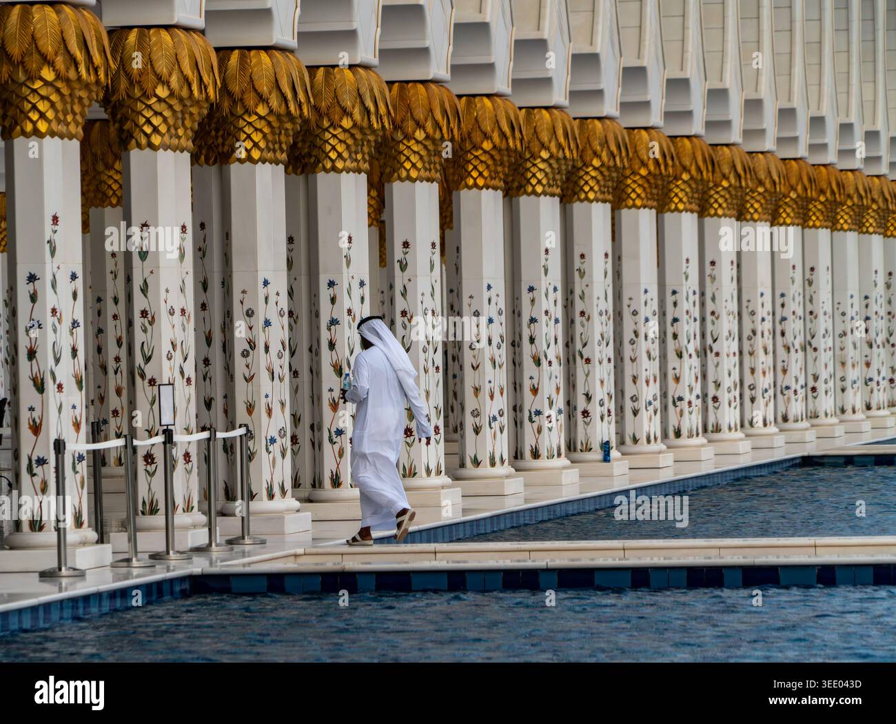 Vista delle colonne ornate in marmo bianco con capitelli in foglia d'oro e mosaici floreali che si riflettono in una piscina della grande moschea di Abu Dhabi, Dubai, United AR Foto Stock
