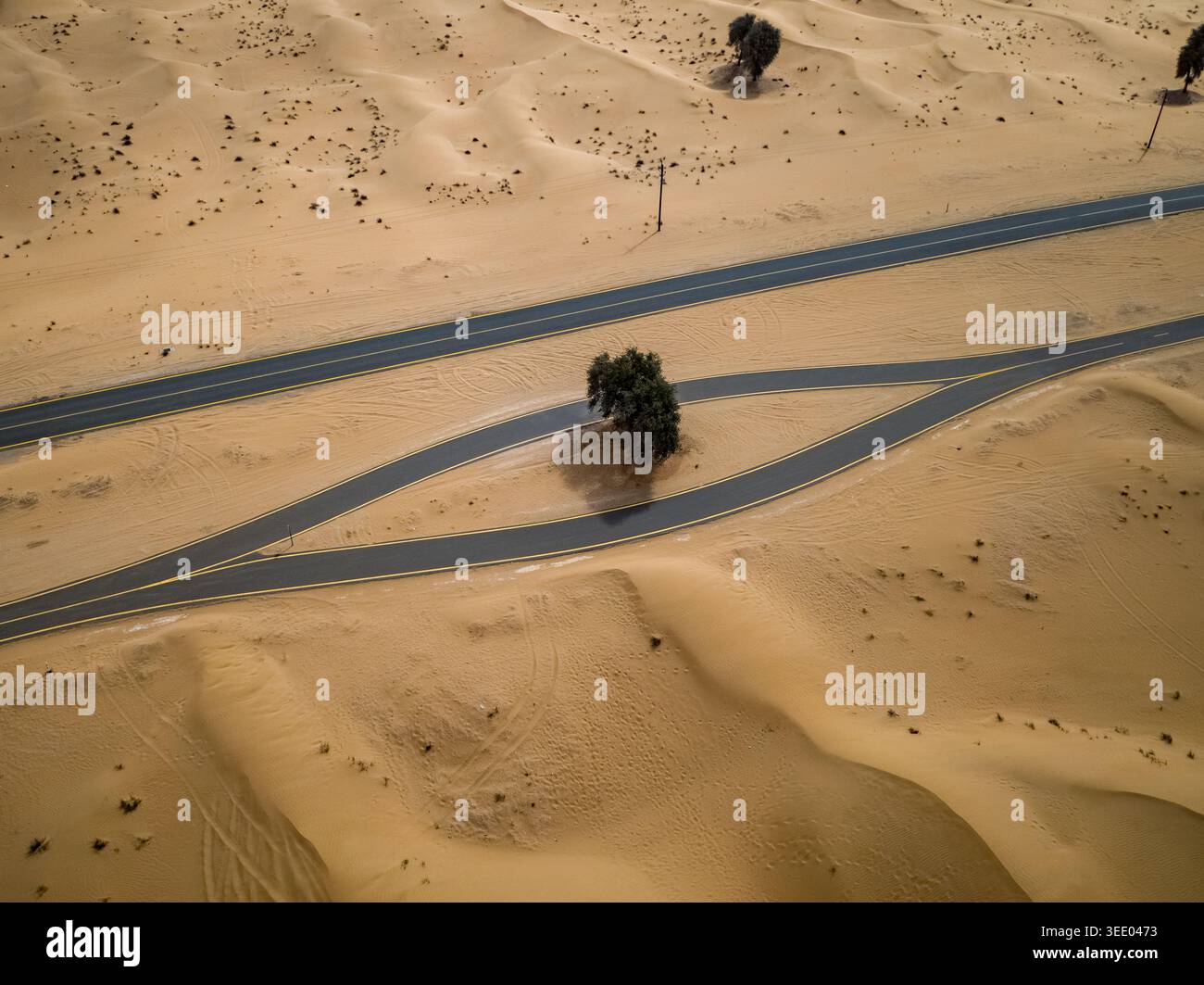 Vista di una formazione stradale a forma di occhio che circonda un albero solitario tra vaste dune di sabbia e paesaggi desertici a Dubai, Dubai, Emirati Arabi Uniti. Foto Stock