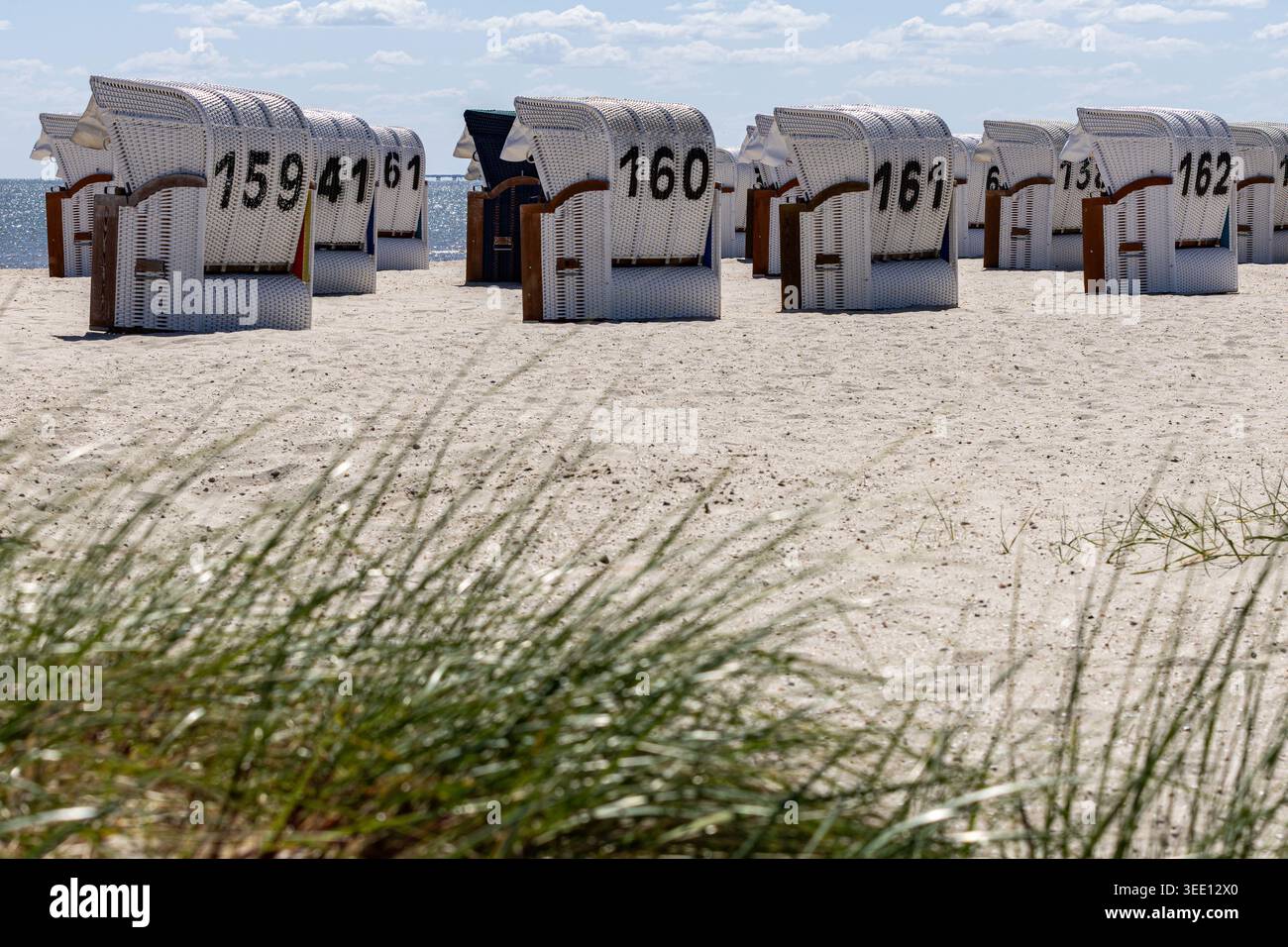 Vista delle sedie da spiaggia numerate in vimini bianco sulla spiaggia sabbiosa di Strand Schillig sotto un cielo luminoso Wangerland, Niedersachsen, Germania. Foto Stock