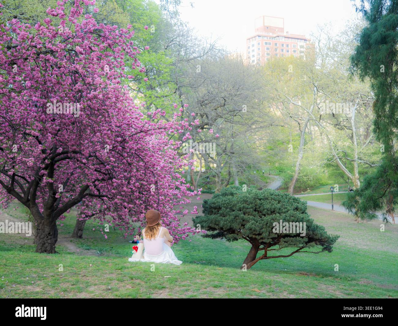 Vista di Central Park con una donna seduta sull'erba vicino a un albero fiorito di ciliegio e vegetazione lussureggiante a New York, New York, Stati Uniti. Foto Stock