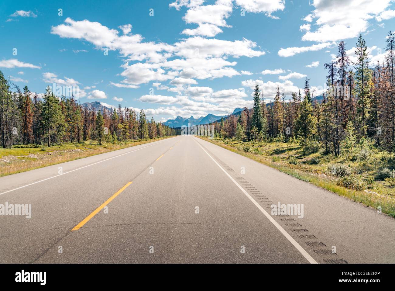 Autostrada panoramica attraverso una foresta con montagne in lontananza. Canada Foto Stock