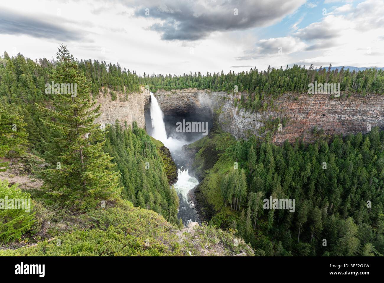 Una potente cascata si tuffa in un canyon circondato da una lussureggiante foresta verde e scogliere rocciose. Canada Foto Stock