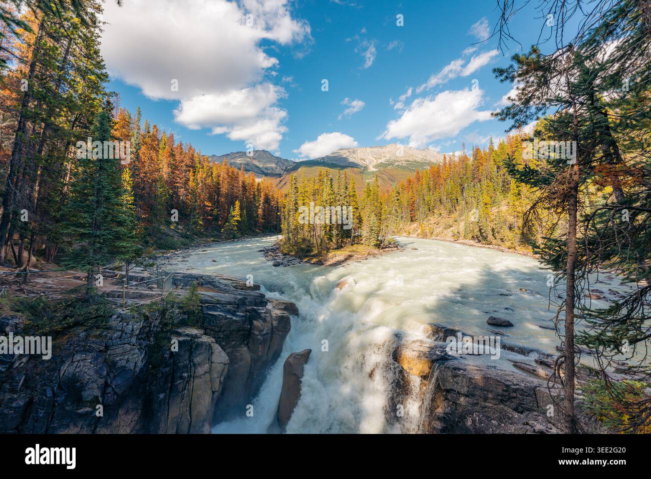 Athabasca Falls nel Jasper National Park, circondato da una vibrante foresta autunnale e montagne, Canada Foto Stock