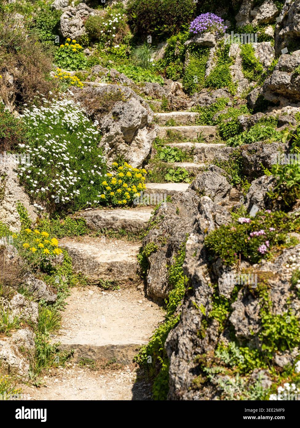Vista del Giardino Botanico di Monaco-Nymphenburg con gradini in pietra che si snodano attraverso un lussureggiante giardino roccioso e fiori fioriti a Monaco, Bayern, Germania. Foto Stock